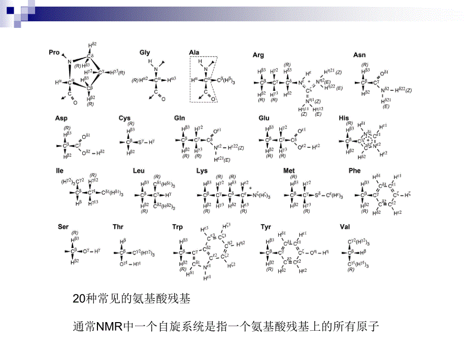 NMR方法解析蛋白质结构_第3页