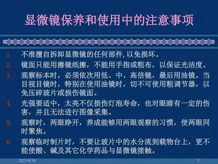 1细菌的形态结构观察和染色_第5页