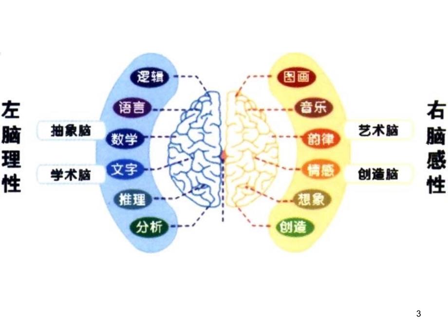 人体器官功能优秀课件_第3页