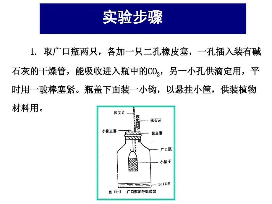 实验八呼吸速率的测定小篮子法_第5页