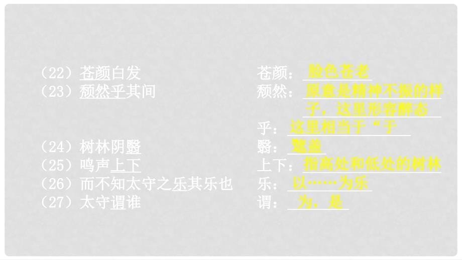 中考语文 专题复习四 文言文阅读 第13篇 醉翁亭记课件_第5页