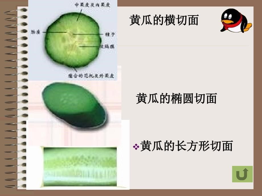 用平面截一个几何体课件.ppt_第5页