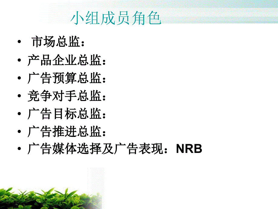 脉动营销策划方案_第2页