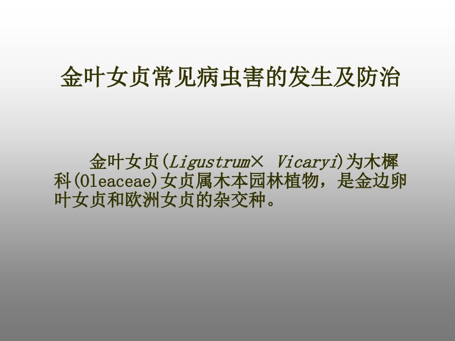 金叶女贞病虫害防治资料.ppt_第1页