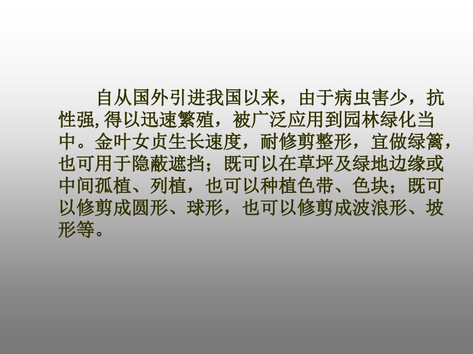 金叶女贞病虫害防治资料.ppt_第2页