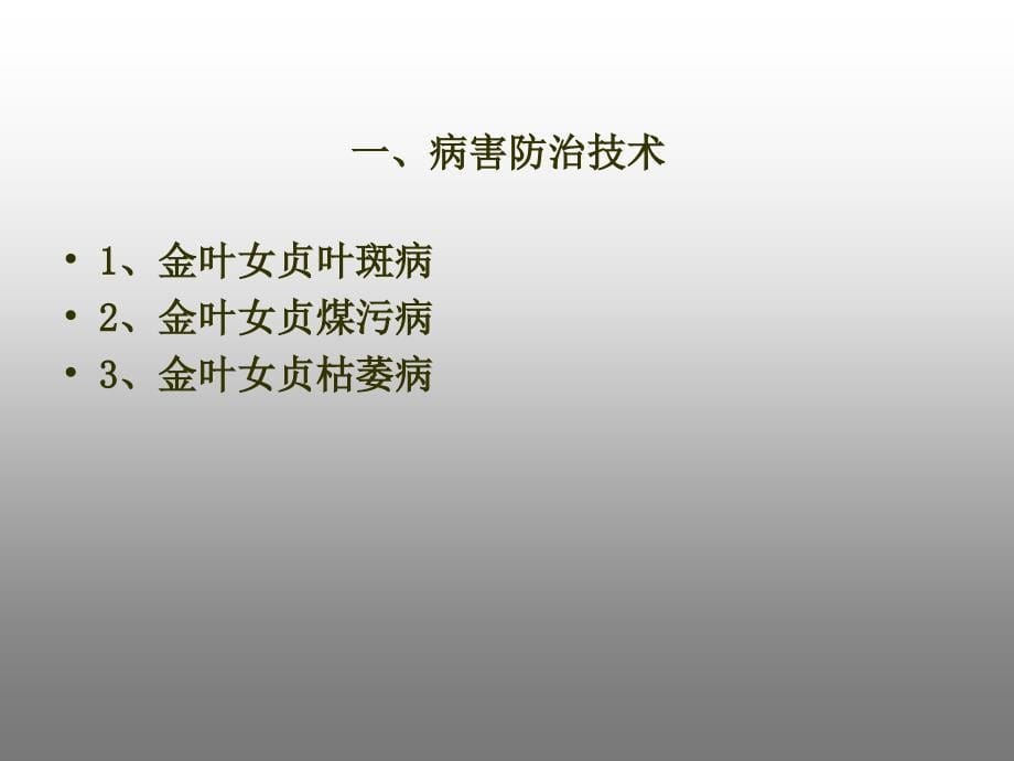 金叶女贞病虫害防治资料.ppt_第5页