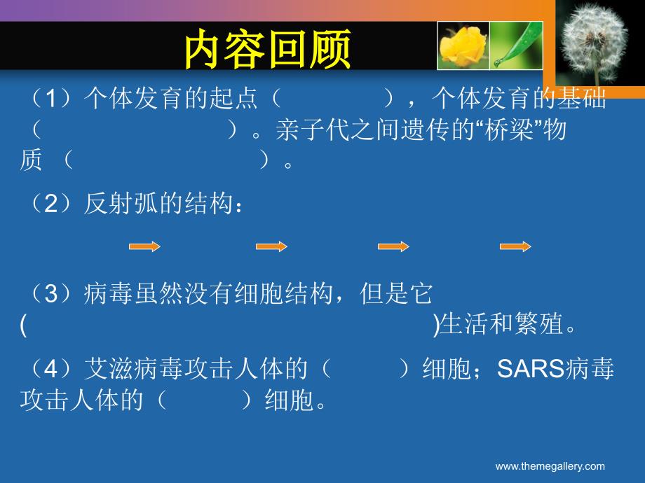 从生物圈到细胞2-生命系统的结构层次_第2页