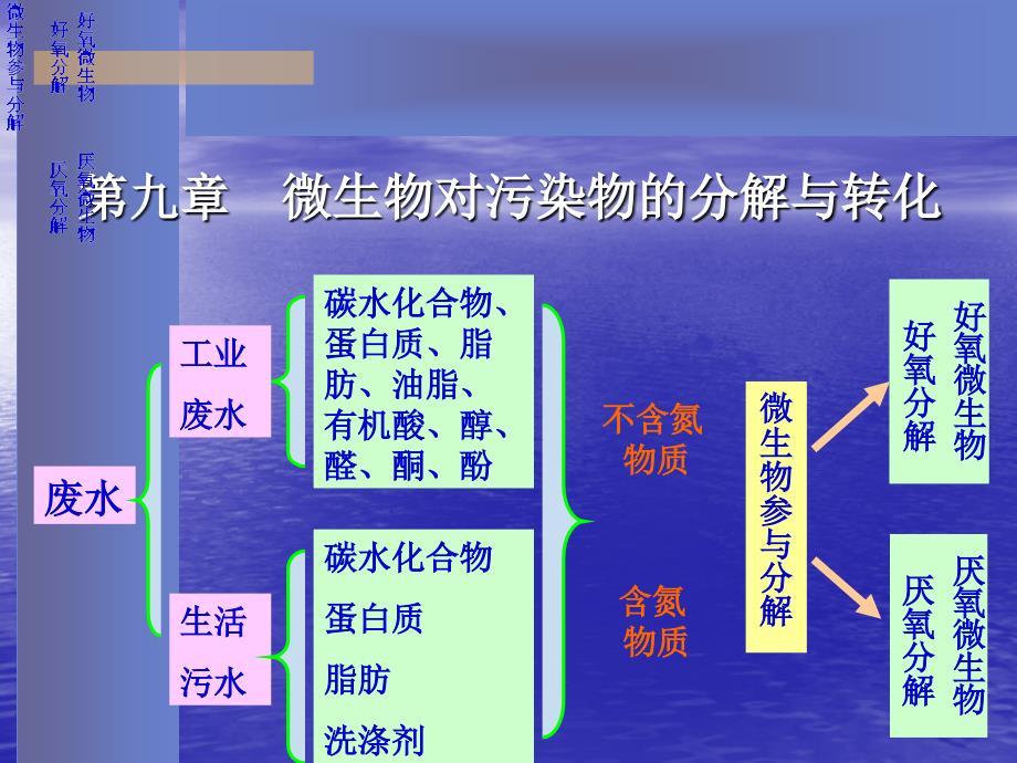 水处理微生物课件第九章_第1页