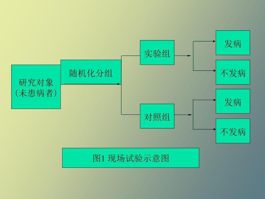 临床试验设计_第5页