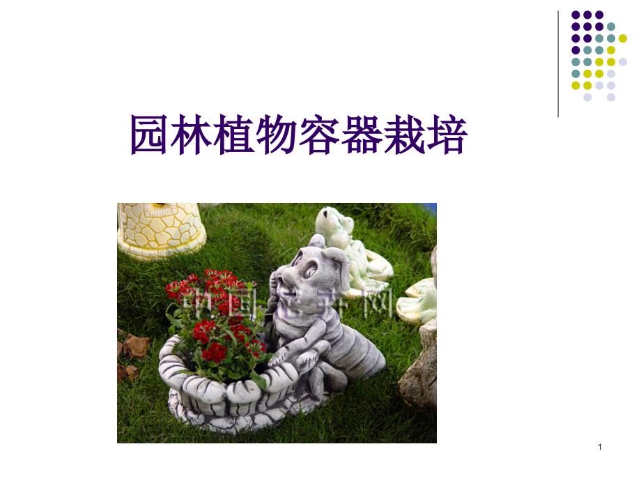 园林植物容器栽培PPT优秀课件_第1页