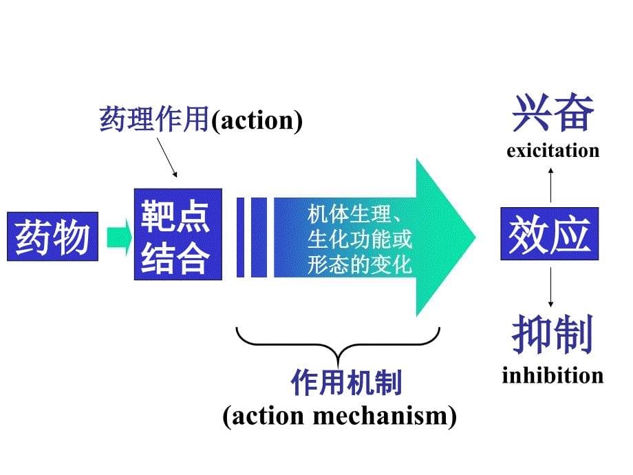 临床药理学：第四章 临床用药中的药效学问题_第5页