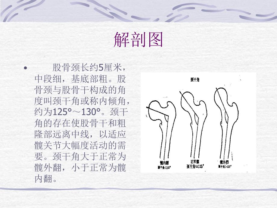 《股骨颈骨折护理》PPT课件_第4页