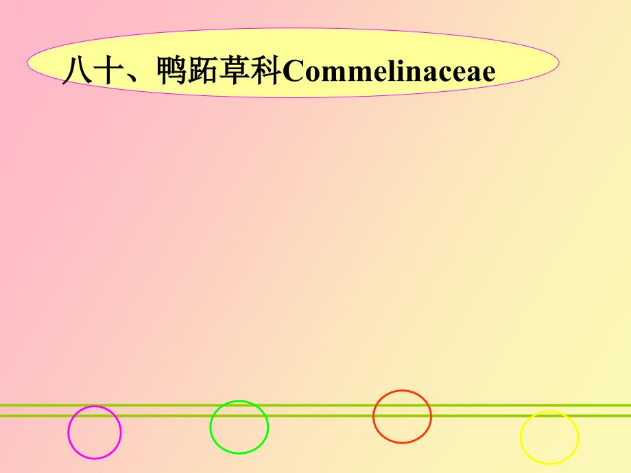 鸭跖草科Commelinacea_第1页