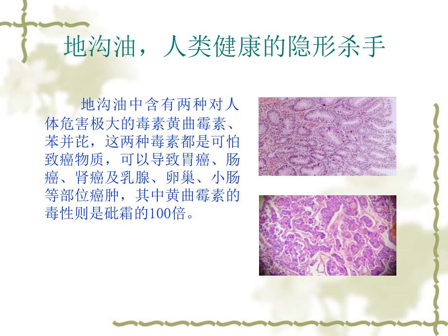 全民换油健康益寿PPT课件_第2页