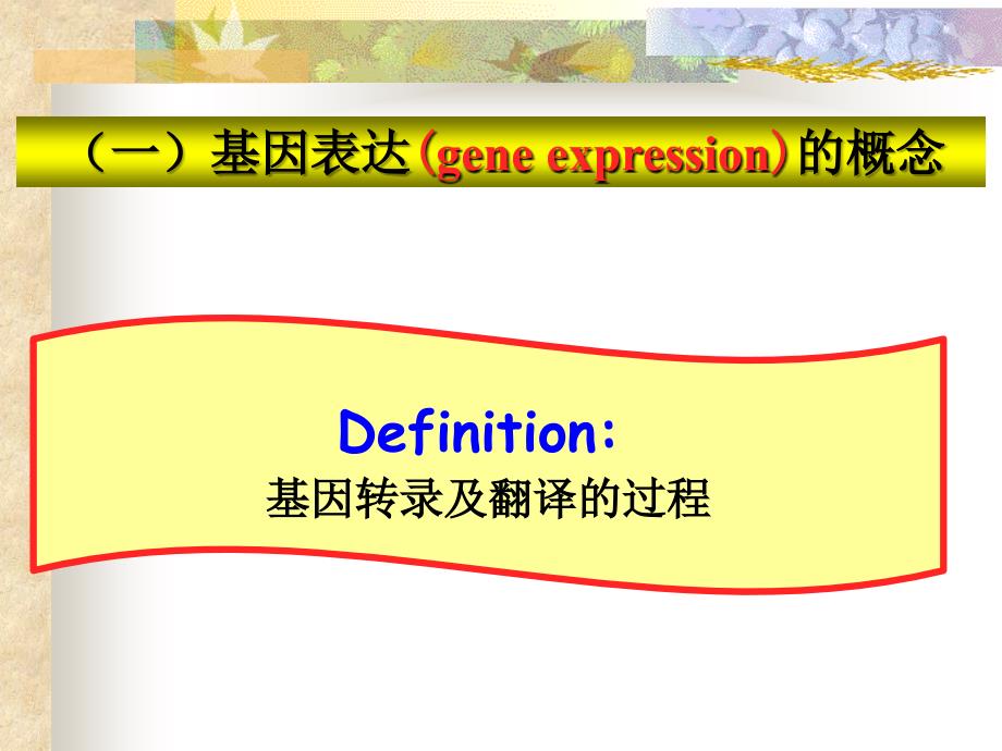 分子生物学7原核生物基因表达调控ppt课件_第4页