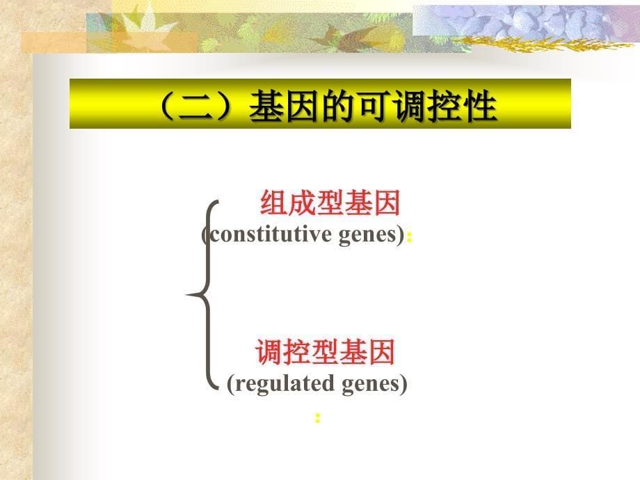 分子生物学7原核生物基因表达调控ppt课件_第5页