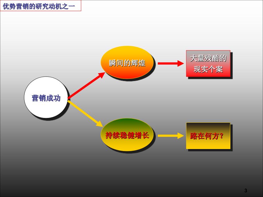 超越竞争-优势营销思想及操作体系（部分版）(PPT 40页)课件_第3页