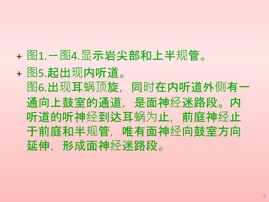 耳部最详细CT解剖ppt课件.ppt_第5页