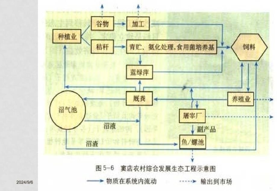 5.2生态工程的实例和发展前景_第5页