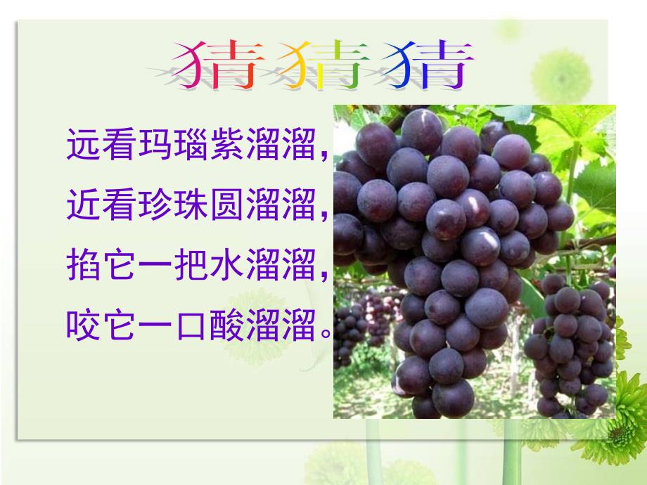 作文教学-我爱吃的水果和蔬菜修改.ppt_第2页