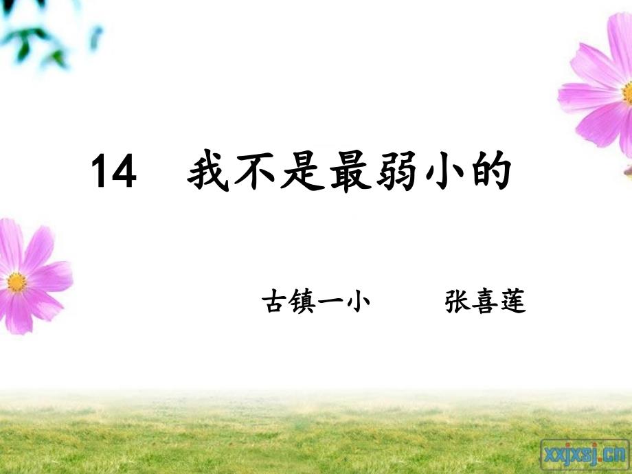 苏教版四年级语文下册14《我不是最弱小的》PPT课件_第1页