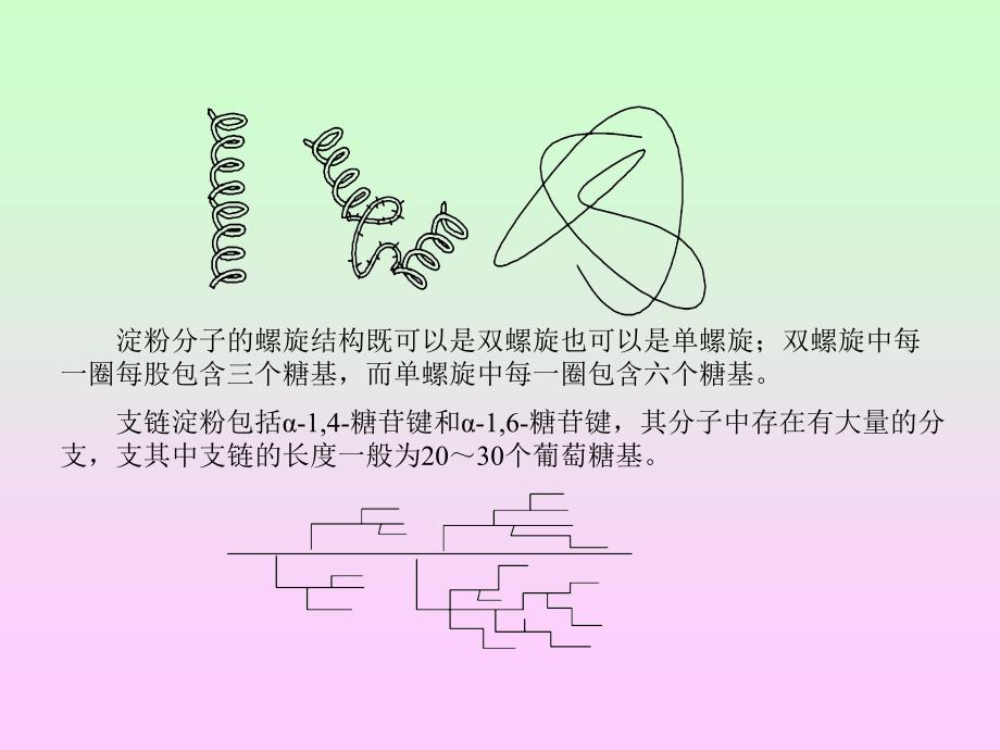 第四章食品中的碳水化合物第五节淀粉_第2页