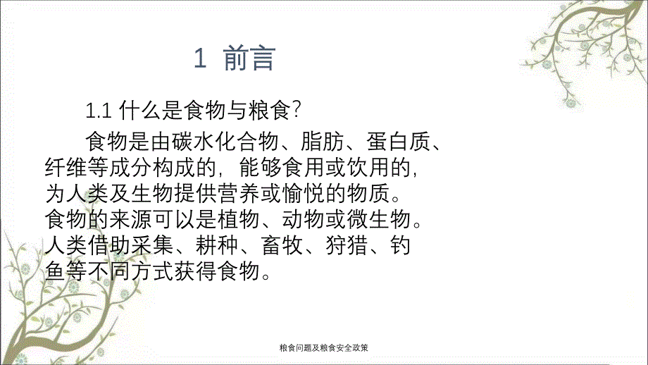 粮食问题及粮食安全政策PPT课件_第3页