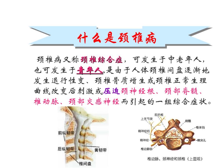 办公室工作人员如何预防颈椎病PPT课件_第2页