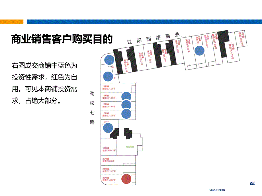 青岛远洋风景二期商业营销纲要课件_第4页