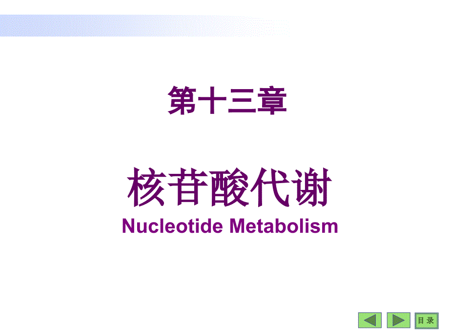 生物化学教学课件：第13章 核苷酸代谢_第1页