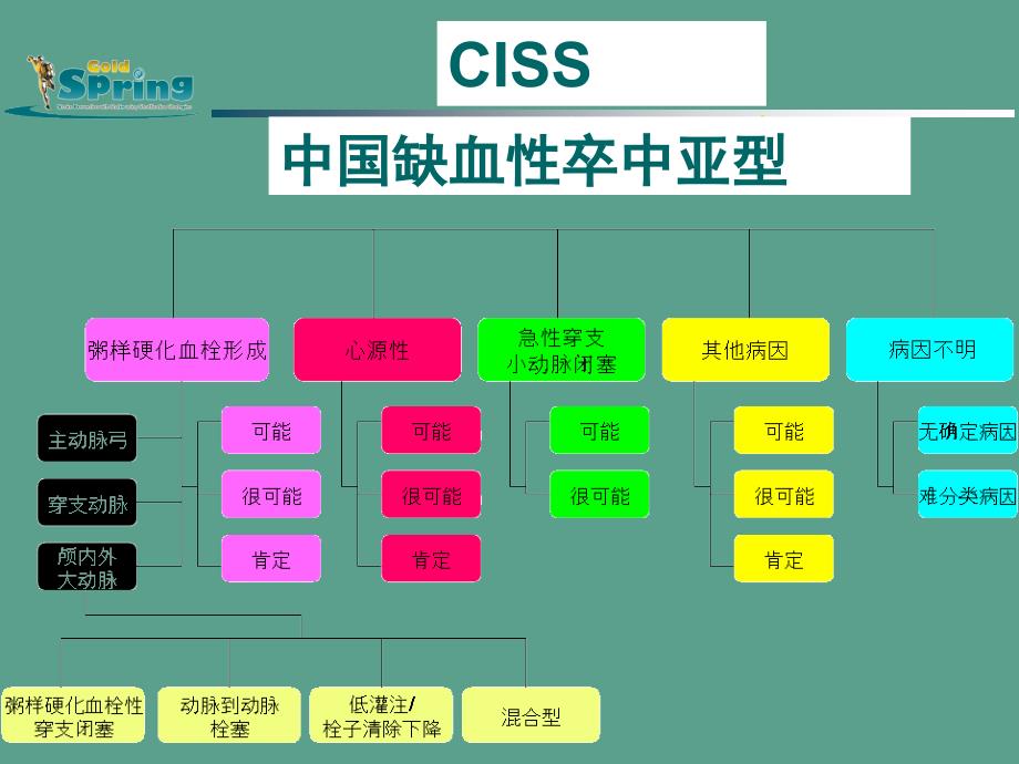 中国缺血性卒中亚型ppt课件_第2页