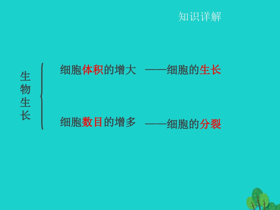 中考生物 第二章 第二节 细胞分裂、分化形成组织课件1_第4页