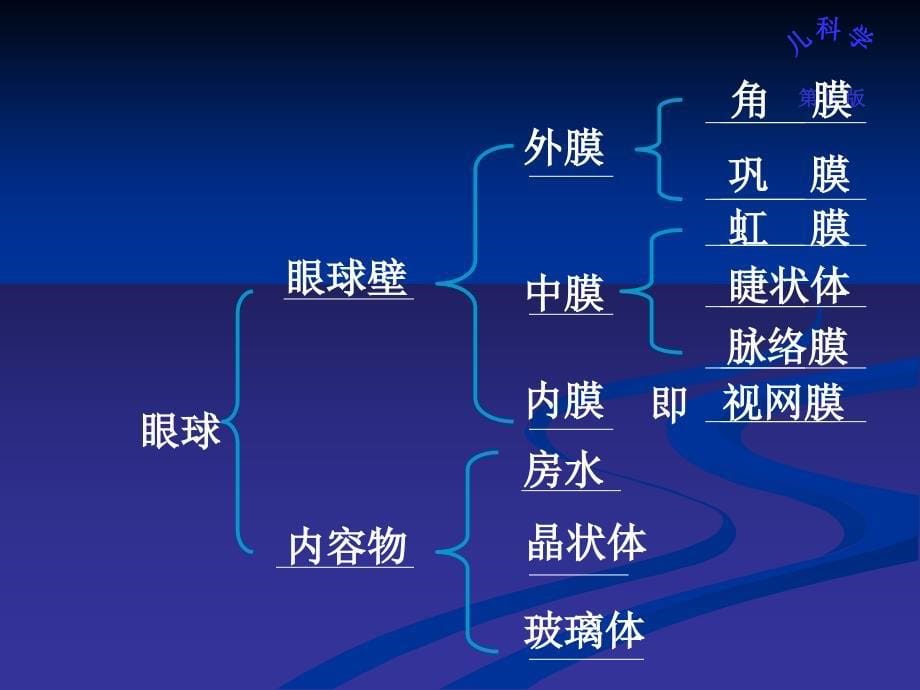 第二章-老年人各系统的老化改变(缺神经系统)课件_第5页