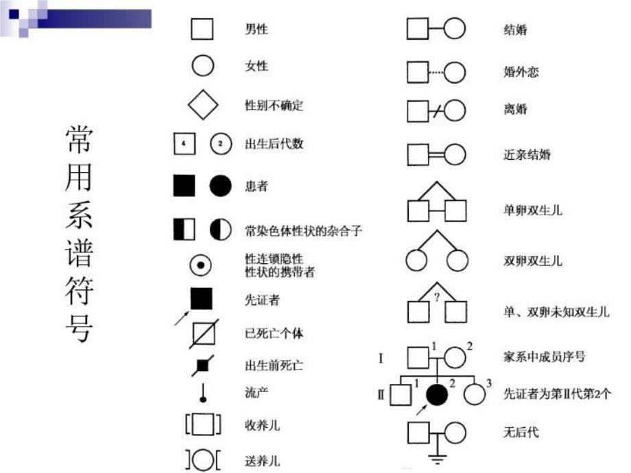 最新单基因傅10自学版精品课件_第3页