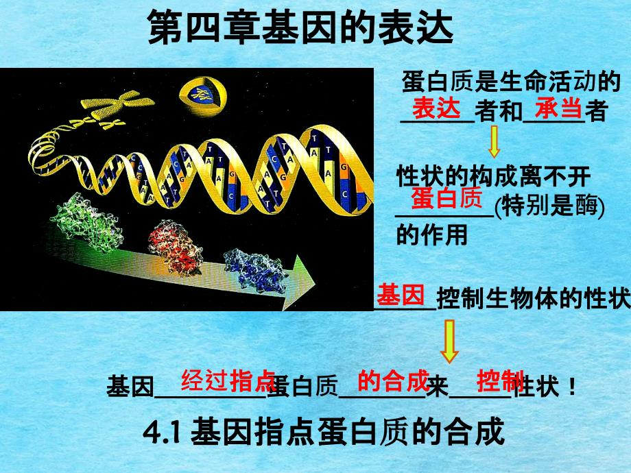 理科基因指导蛋白质的合成ppt课件_第1页