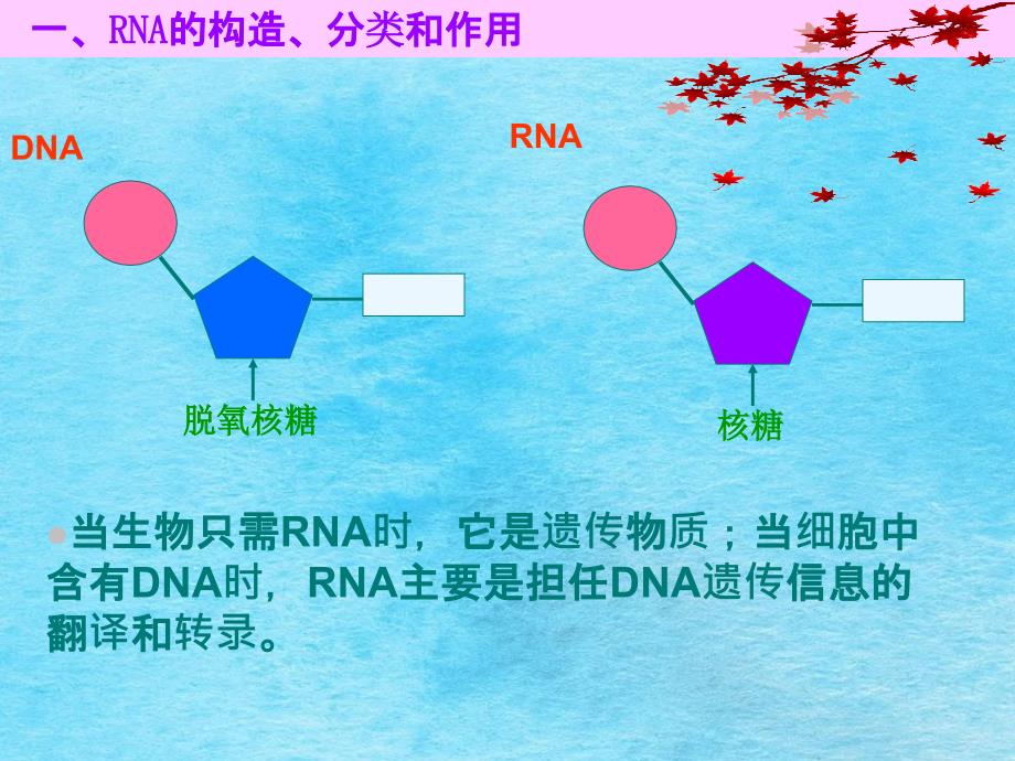 理科基因指导蛋白质的合成ppt课件_第3页