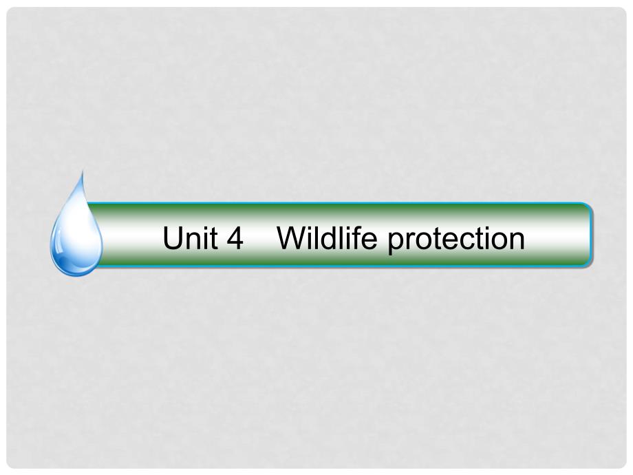 高考英语大一轮复习 Unit 4 Wildlife protection课件 新人教版必修2_第1页