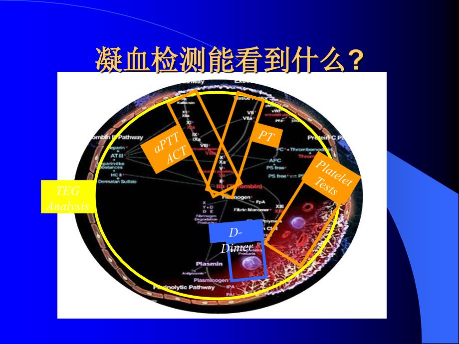 认识、鉴别TEG诊断报告.ppt_第3页