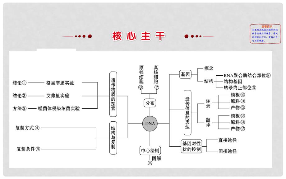 高三生物二轮复习 2.6 专题6 遗传的分子基础课件_第3页