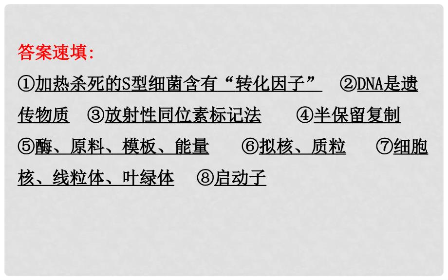 高三生物二轮复习 2.6 专题6 遗传的分子基础课件_第4页