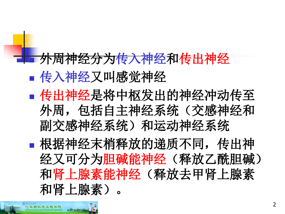 第12章作用于肾上腺素能受体的药物_第2页