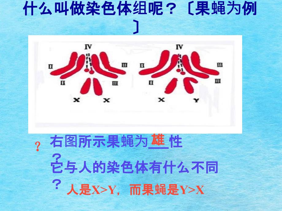 高二生物染色体变异ppt课件_第3页