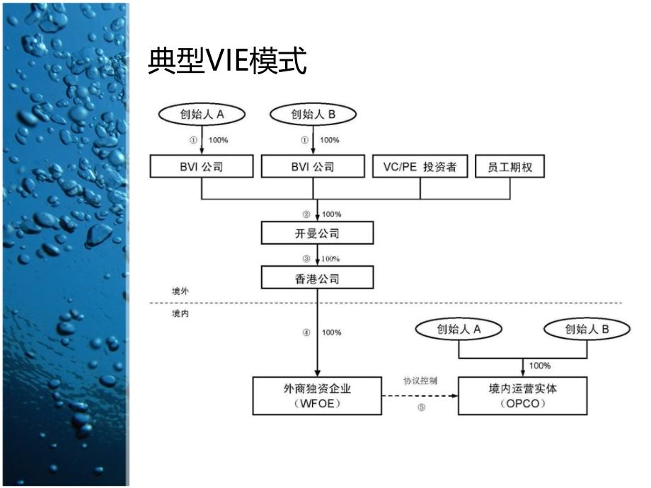 VIE结构的境外融资与境内回归_第4页