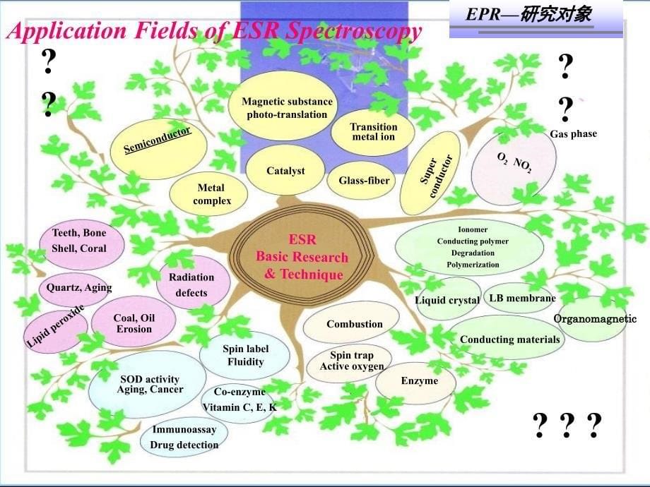 电子顺磁共振EPRPPT课件_第5页