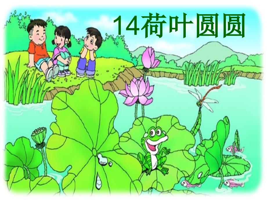 荷叶圆圆教学课件_第3页