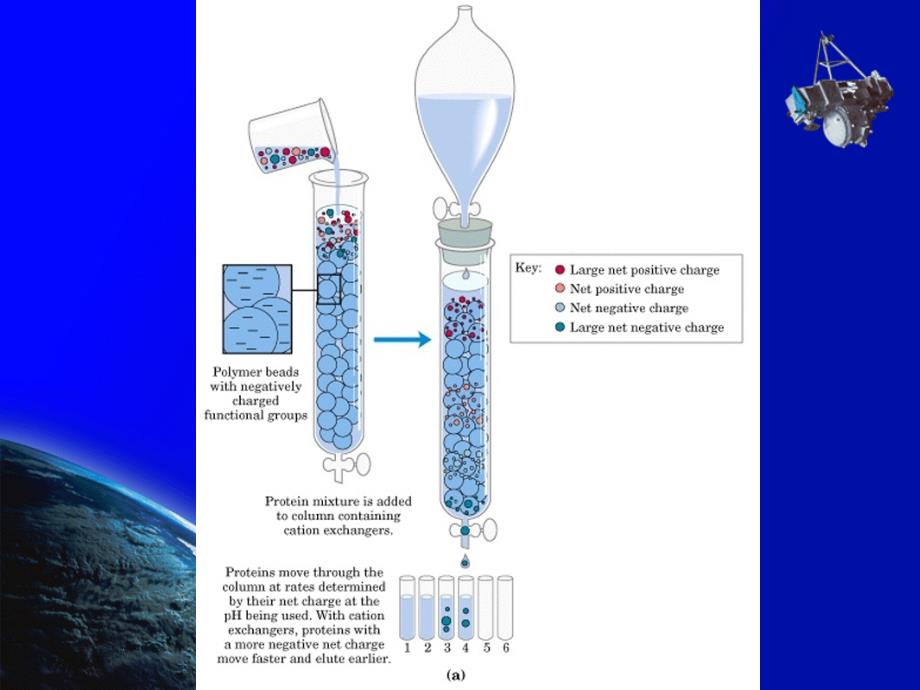 离子交换层析ionexchangechromatgraphy_第4页