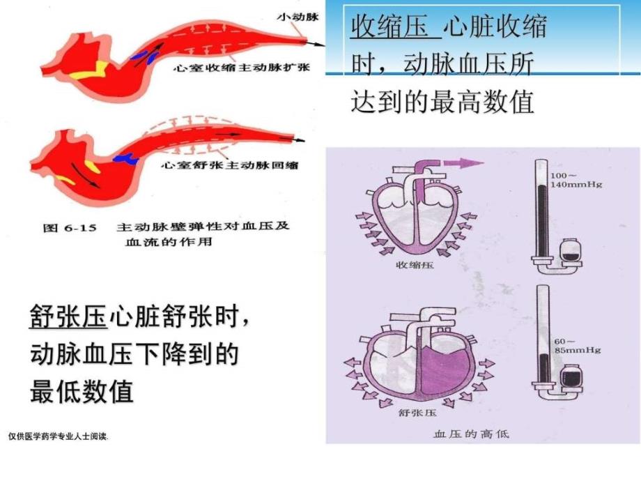 【资料】高血压的发病机制与病理生理-图文汇编课件_第3页