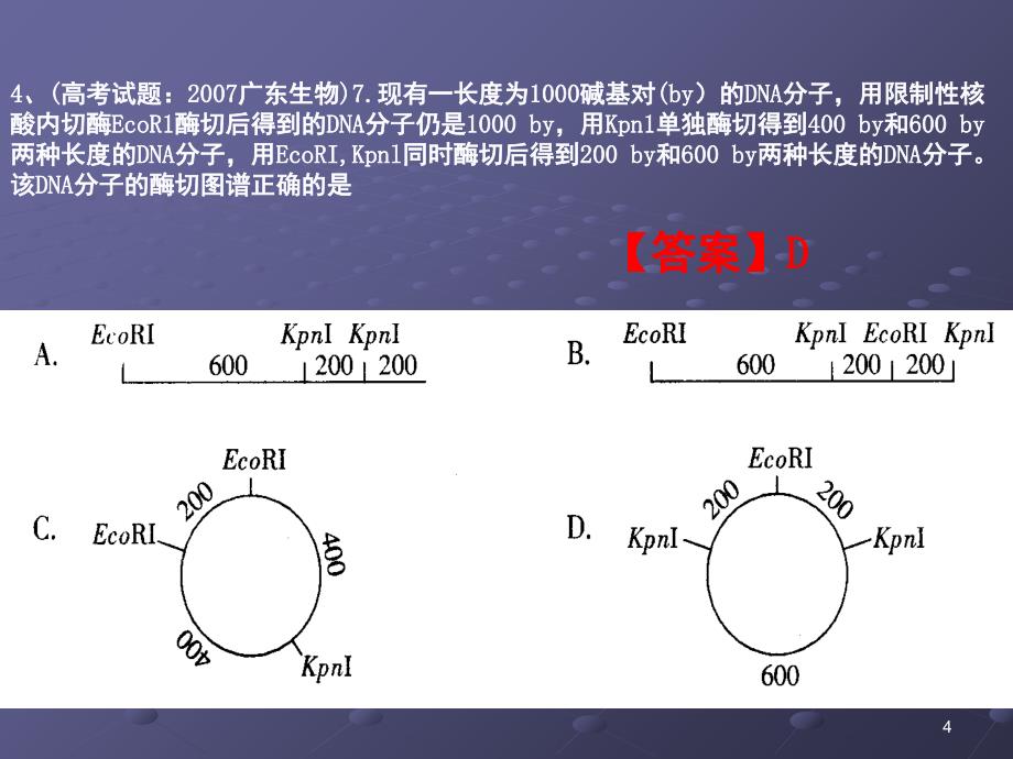 专题一基因工程练习题能力提高PPT课件_第4页