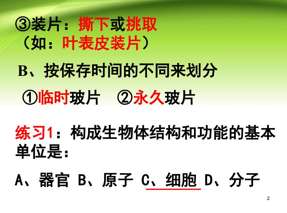 人教版初中初一七年级生物上册植物细胞中学课件_第2页