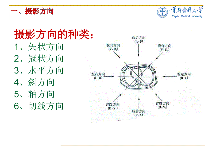 《医学影像技术学》教学课件：第二节：X线摄影方向及摄影体位的基本知识及基本概念_第3页